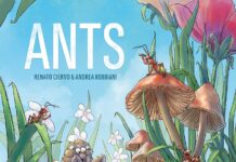 ANTS (Die Ameisen von Amyra) – REVIEW | Rezension Brettspiel